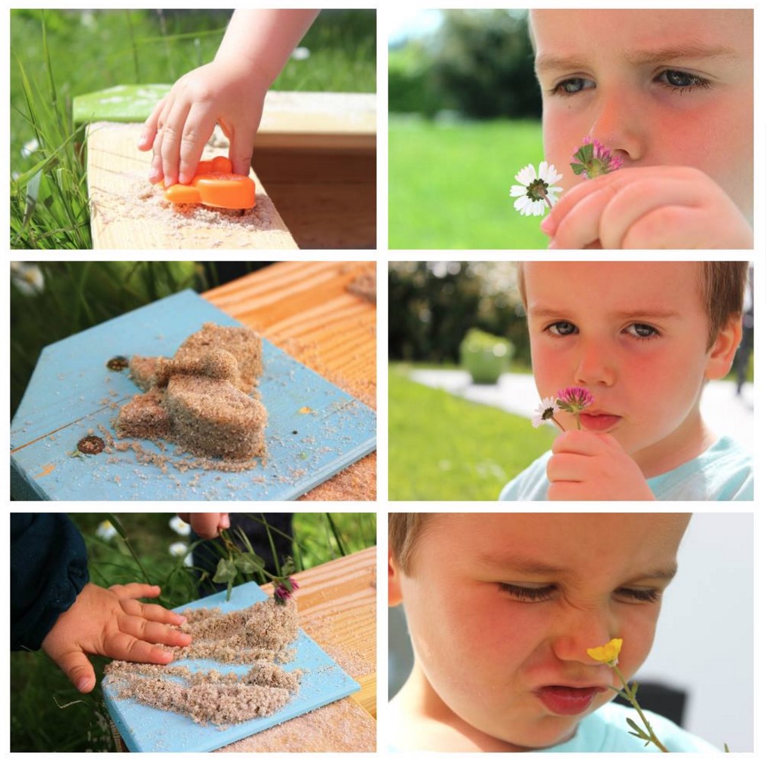 Bildbesprechung-Fotografie-Analyse-Collage-Gabi-Was-man-hier-verbessern-kann