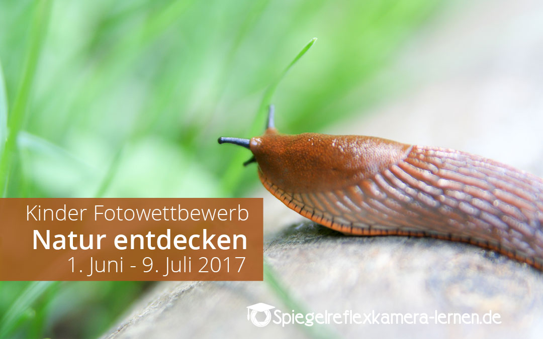 Fotowettbewerb 2017 – Kinder entdecken die Natur