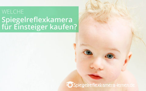 Welche Systemkamera / Spiegelreflexkamera für Einsteiger kaufen? – Praxis Kauftipps 2025